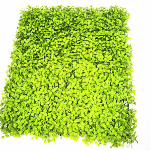 Césped <span class=keywords><strong>artificial</strong></span> cerca de <span class=keywords><strong>eucalipto</strong></span> cerca <span class=keywords><strong>artificial</strong></span> cerca verde - Product Image 6