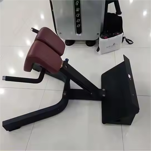 Chaise romaine de haute qualité avec extension de dossier Chaise romaine commerciale avec <span class=keywords><strong>banc</strong></span> d'extension de dossier à 45 degrés - Product Image 3