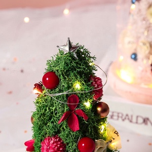 TC Wholesale Led <strong>Lights</strong> Star Preserved Rose Flower Moss Plants Christmas Gifts Decorations Supplies Christmas <strong>Tree</strong> <strong>in</strong> Glass Dome - Product Image 5