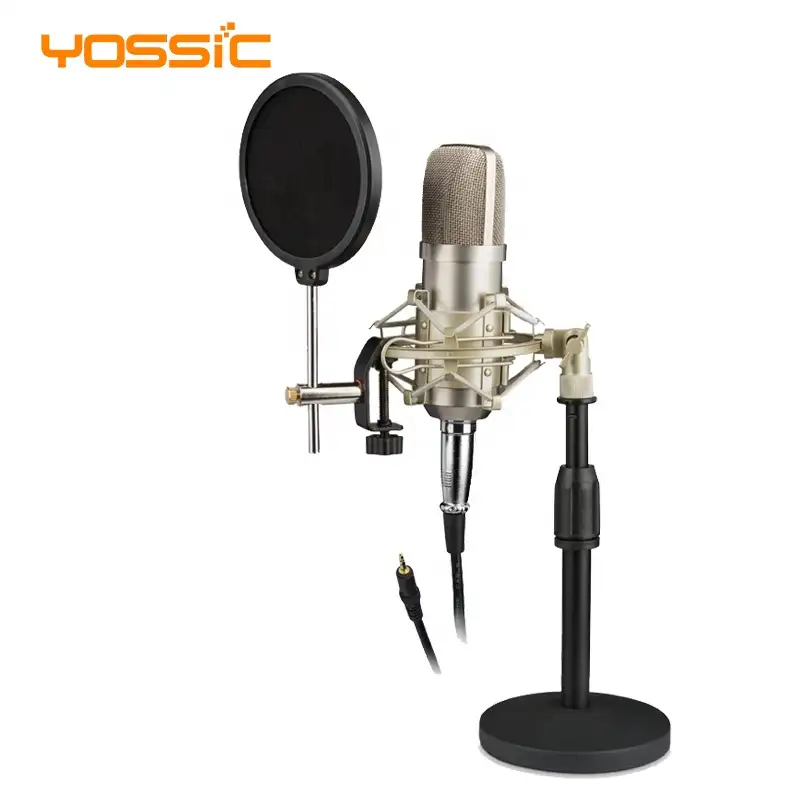 Microfone profissional de estúdio, gravação de estúdio