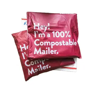 バッグロゴポリメーラーエクスプレスプラスチック服生分解性メーラーポリメーリング配送バッグ