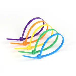 海泰热卖高品质尼龙66塑料双锁电缆扎带钩环