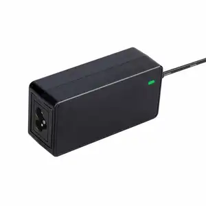 Personalizado Blanco Negro Portátil Fabricante de alta calidad Voltaje constante 12V 15V 18V 19V 24v1a1.5a 5a Adaptadores para aspiradora