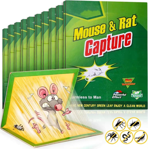 Pièges à colle pliables non toxiques pour souris et rats, usage intérieur/extérieur, lutte contre les rongeurs - Offre Spéciale - Product Image 2