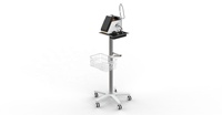 810 nm diode laser vétérinaire pour chat cheval chien soulagement de la douleur tecar thérapie physiothérapie laser soulagement de la douleur instrument