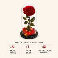 Rose éternelle préservée en dôme de verre, coffret cadeau de rose véritable pour la Saint-Valentin, anniversaire