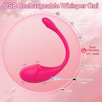 Nouveau Vibrateur Portable 2026 à Commande par APP pour Point G, Vibrateur Bullet, Œuf Vibrant, Stimulateur Clitoridien, Œuf d'Amour, Jouet Sexuel Adulte