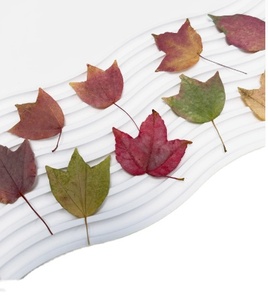 Tam giác Maple Leaf thẻ làm nguồn cung cấp đồ trang sức nhựa thân thiện với môi bất ép hoa DIY - Product Image 1