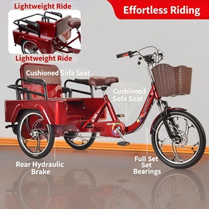 Electric-assist <strong>Senior</strong> <strong>Tricycle</strong> Adult Electric Rickshaw Two-Person Pedal <strong>Bike</strong> with Lead-Acid Battery - Product Image 4