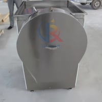 China Knoflook Kurkuma Gember Groene Ui Snijmachine Groente Voor Commercieel Gebruik Automatische Slice Cutter Machine