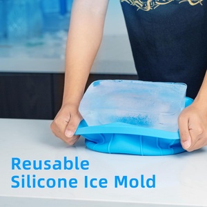 Extra Large Silicone Ice Block Mold With Lid Cake Tools Type Moulds