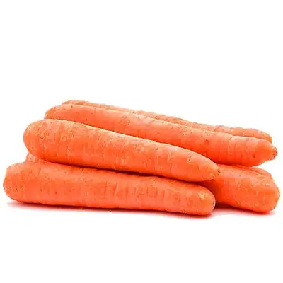Wholesale supply of fresh carrots new season vegetables baby carrots fresh price china fresh carrots