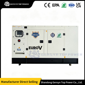 Groupe électrogène diesel EURO V à faible bruit, puissance stable pour les besoins en énergie de secours des établissements de santé - Product Image 5