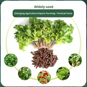 Vaso per Coltivazione Quadrato in Plastica Ecologica per Fiori e Ortaggi, Capacità 2-3L, Personalizzabile - Product Image 5