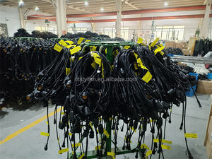 Enchufe suspendido colgante para exteriores, guirnalda de luces LED de hadas blancas cálidas, 10m, 10 + 1 bombillas, guirnalda de luces de Patio impermeable - Product Image 5