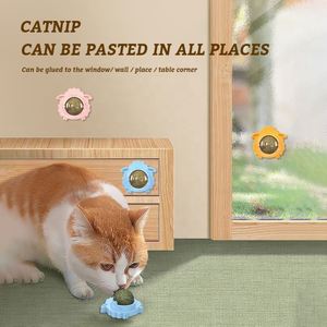 Venta al por mayor de productos para mascotas, Bola de hierba gatera de pared giratoria, plantas naturales, juguete para gatos, juego de gatos, Limpieza de dientes molares, juguete de hierba gatera de oveja - Product Image 3