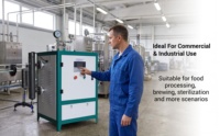 Générateur de vapeur électromagnétique entièrement automatique à fréquence variable, chaudière à vapeur industrielle à induction, fourni par l'usine