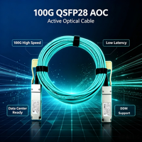 Kabel Optik Aktif AOC 100G QSFP28 ke QSFP28 100Gbps Ethernet untuk Interkoneksi Switch Pusat Data ke Server