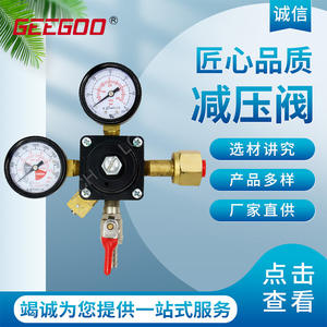 Vanne de réduction de pression de dioxyde de carbone de qualité alimentaire pour la bière et les boissons, compatible avec le GPL et l'hélium - Product Image 5