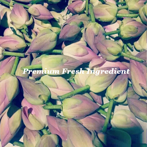 Pink <strong>Lotus</strong> <strong>Flower</strong> Sleep Tea Sacred Dried Herbal Whole Blossom Ayurveda TCM Lucid Dream Herb - Product Image 6