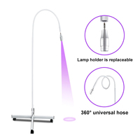 Lampe UV professionnelle individuelle 5W 10W pour extensions de cils, séchoir LED pour l'entraînement aux extensions de cils