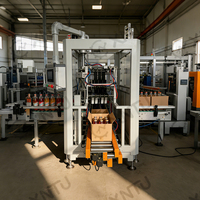 Máquina Empacadora de Cajas de Carga Superior Totalmente Automática con PLC, Bomba Hidráulica, Cinta Transportadora, Personalizable para Botellas de Plástico, Cartones, Bolsas y Productos Químicos