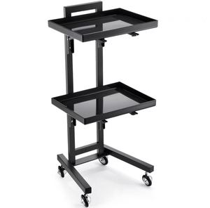 Carrito de Peluquería de Acero Inoxidable Plateado de 2 Niveles, Moderno y Duradero, con Ruedas Universales para Salón de Belleza y Barbería 801A, Gran Venta - Product Image 2