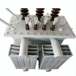 Komplettes Transformator-Umspannwerk 100 kVA Transformator 20kV