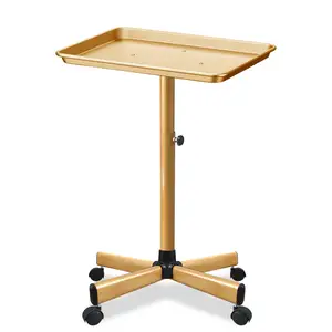 Hair Salon Trolley Tray Hairdressing Salon Working Trolleys Cart Holder Gold Salon Furniture Mobile Kitchen Modern Things