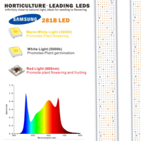 Vente chaude aux États-Unis 2024, lampe de culture LED à spectre complet 1000w 800w 4x6 pieds, efficacité maximale, 8 barres pliables pour plantes médicinales