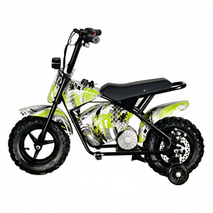 MAXSPEED 250DH PRO Pit Bike, moteur à balais 500W, batterie au plomb-acide 36V 12Ah, mini, vitesse 40km/h, moteur 500W/800W/1000W à balais - Product Image 4