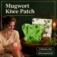 Patchs de Moxa à l'Armoise, Boîte de 5 Patchs, 5 Huiles Essentielles d'Armoise, Moxibustion à Base de Plantes, TCM, Vente en Gros OEM, Durée de Conservation de 2 Ans, Dix Herbes