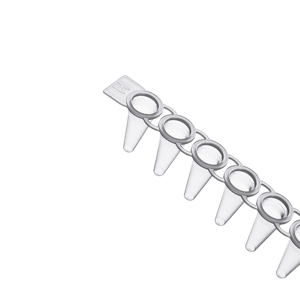 Haier Biomedcial sıcak satış 0.1ml/<span class=keywords><strong>0.2ml</strong></span> <span class=keywords><strong>8</strong></span> şeritler laboratuvar kullanımı için mikro santrifüj <span class=keywords><strong>PCR</strong></span> tüp - Product Image 3