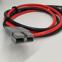 6AWG Suhu Tinggi 200 ° Kabel Sambungan Baterai C dengan Tempat Sekring Inline dan Konektor Cepat 2-Pin untuk ESS