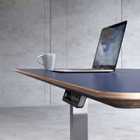 Bureau vertical réglable en hauteur pour PDG, gestionnaire, bureau administratif, équipement de bureau, mobilier de bureau évolutive pour la maison