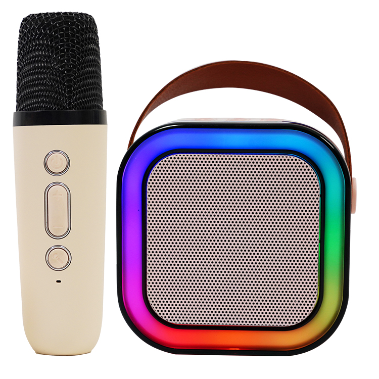 Würdiger tragbarer Mini-Bluetooth-Karaoke-Lautsprecher mit drahtlosem Mikrofon und bunten Licht für Kinder Erwachsene Metallaktiv RGB 3 W