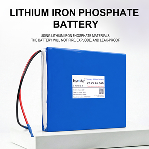 Batterie lithium-ion ternaire 22,2 V 45,5 Ah pour robots AMR, stations d'alimentation portables et équipements de surveillance industrielle - Product Image 2