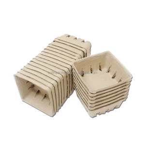Contenitore Ecologico in Cartone Kraft Marrone per Frutta, Usa e Getta, 95x95x43mm, per Bacche di Fattoria, <span class=keywords><strong>OUTIN</strong></span> B1 - Product Image 2