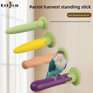 Papağan taşlama tezgah kuş <span class=keywords><strong>stand</strong></span>ı pençe gaga çubuk levrek ve Parakeets için malzemeleri - Product Image 2