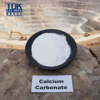 Poudre de carbonate de calcium naturel fin Buysway, antiacide, poussière de pierre calcaire pour projets de bricolage domestique, pour peinture à la craie texturée