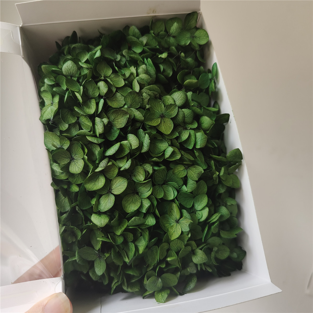dark green