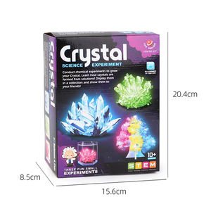 Kit d'expérimentation scientifique en cristal pour enfants ensemble de jouets éducatifs à vapeur expérience de bricolage arbre de noël jouet en cristal pour jeu de famille - Product Image 6