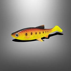 Leurre souple TPE Shad 15cm 36g à queue carrée pour la <span class=keywords><strong>pêche</strong></span> <span class=keywords><strong>au</strong></span> brochet géant, <span class=keywords><strong>au</strong></span> bar et <span class=keywords><strong>au</strong></span> poisson-chat - Product Image 2