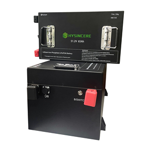 Waterproof Golf Cart Battery 36v 48v 51.2v 60v 72v Lithium Car 72ah 105ah 160ah - Product Image 2