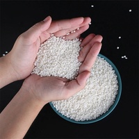 Fournisseur de matières premières PLA Prix préférentiel biodégradable Granules de plastique PLA