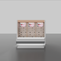 Support d'affichage cosmétique LED lumineux sur mesure, respectueux de l'environnement, pour les produits de soin de la peau, les magasins de détail et les centres commerciaux