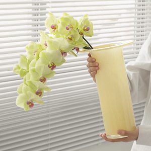 Home High-end One <b>Row</b> test Tube Transparent Glass Vases <b>Water</b> Flower Arrangement Light Luxury Crystal test Tube Small Vase - Product Image 3