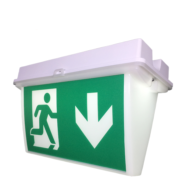 CB CE Certified 220V 240V High Quality Hanging Board Hot Selling Acrylic Emergency Exit Sign Light