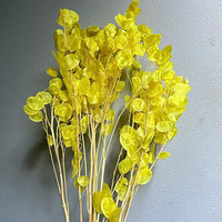 Branches de fleurs séchées en gros pour événements : tiges de Lunaria Silver Dollar en vrac pour toiles de fond de cérémonie et présentations sur table commémorative