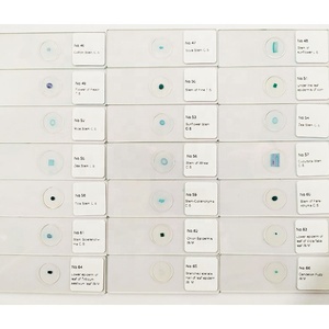 Đồ Dùng Nhà Máy Kính Hiển Vi Chuẩn Bị Lớp Biểu Bì Hành Tây Vật Phẩm Cây Đơn - Product Image 3